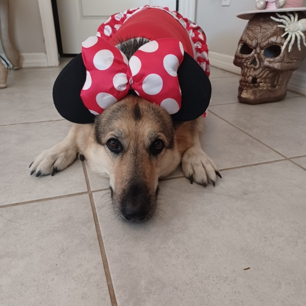 MISS RUBY - Picture 7 of 16